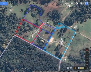 Downes Jr proposed housespot and shared driveways